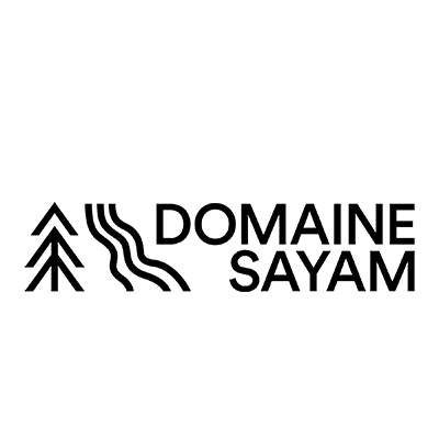 Domaine Sayam logo